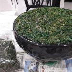 55726432_2568284043200312_5551511642606403584_n