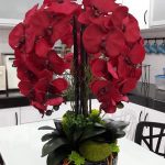 55483214_2568284409866942_2912077454065532928_n