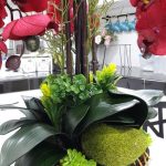 55576775_2568284356533614_6135496228424646656_n