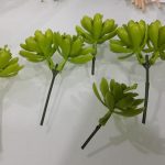 55546969_2568284293200287_4665955455653117952_n