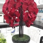 55439708_2568284083200308_7512250426108936192_n