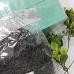 54798770_2568283863200330_2102398439991017472_n