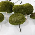 54799131_2568284246533625_8171743255705157632_n