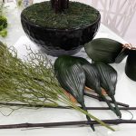 55632798_2568284146533635_7219195564733235200_n