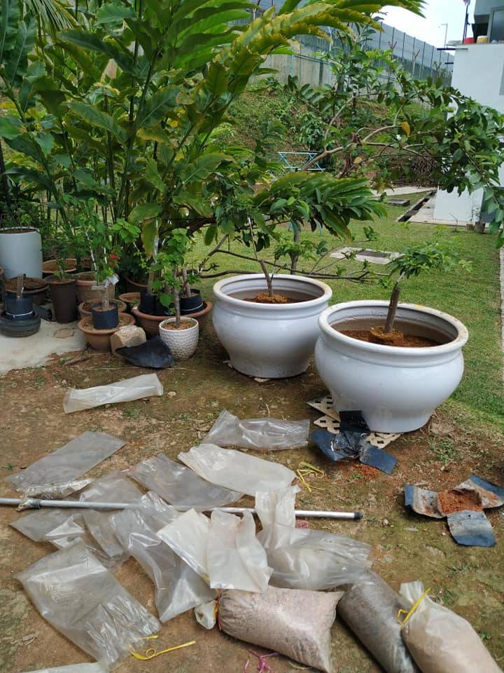 Buat Sendiri Pintu Gerbang BUNGA KERTAS Cantik Merimbun, Berseri Laman!