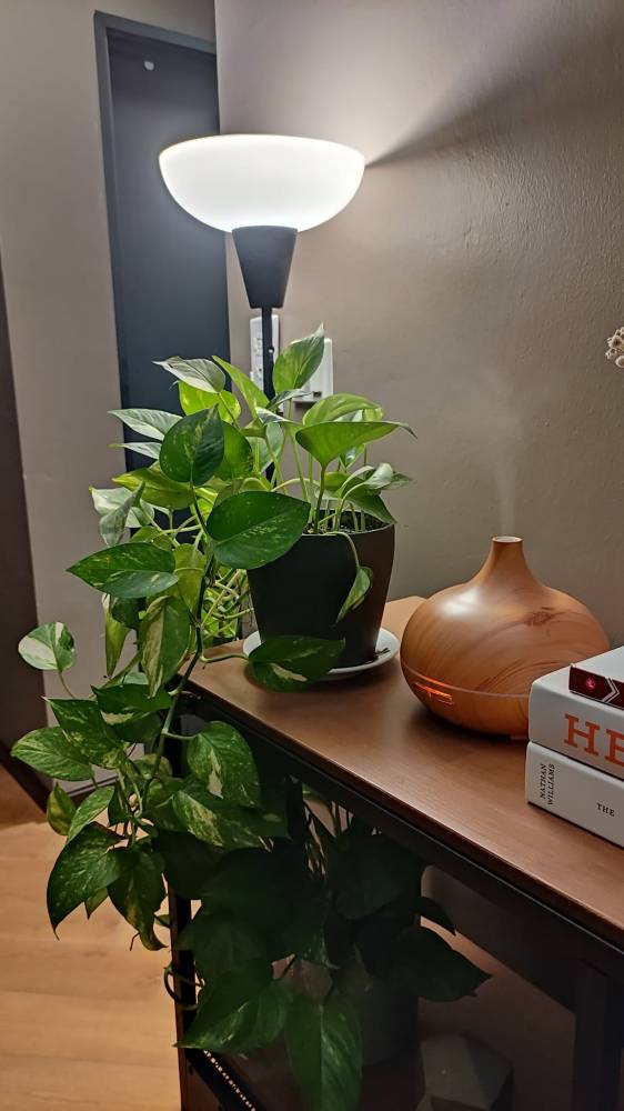 Transformasi Rumah Flat 650 Kaki Persegi, Dekorasi Simple Tampak Elegan & ‘Cozy’!