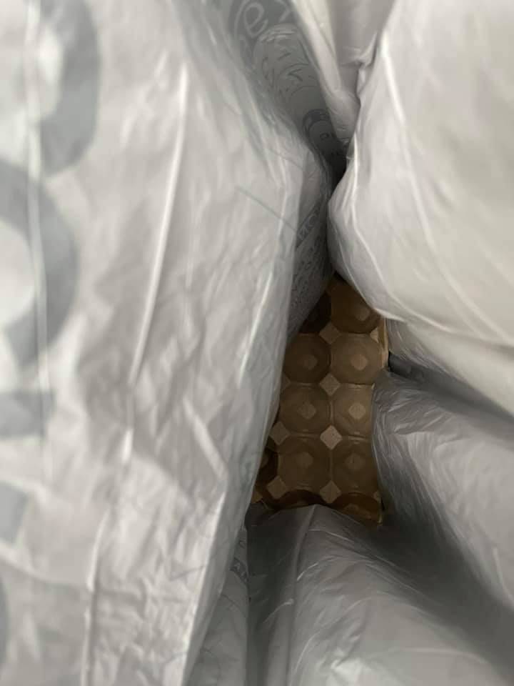 Bekas Sarang Telur Letak Dalam Tong Sampah, Dapat Serap Air & Bau Busuk!