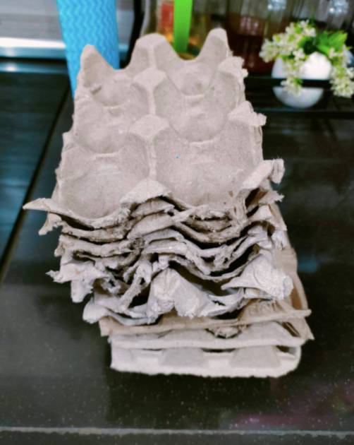 Bekas Sarang Telur Letak Dalam Tong Sampah, Dapat Serap Air & Bau Busuk!