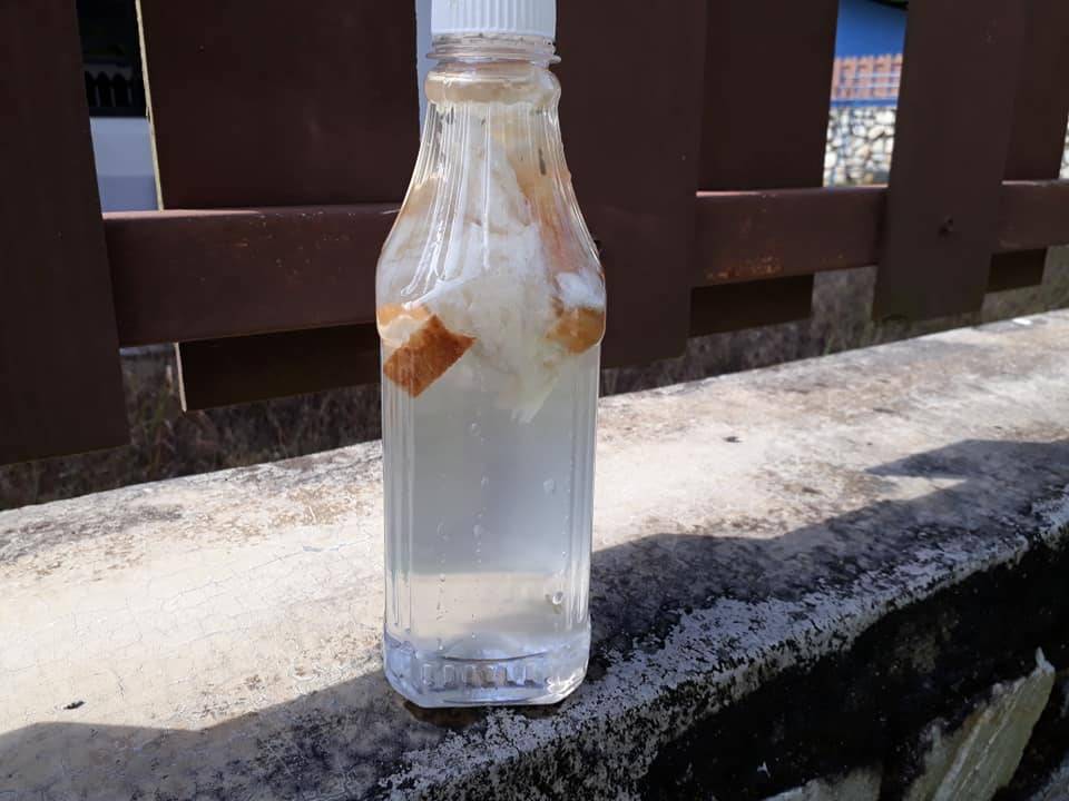 Siram BAJA ROTI SemingguK 3 ali, Tanaman Subur Bunga Makin Meriah!