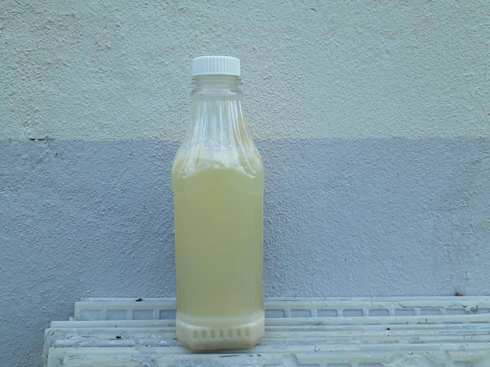 Siram BAJA ROTI SemingguK 3 ali, Tanaman Subur Bunga Makin Meriah!