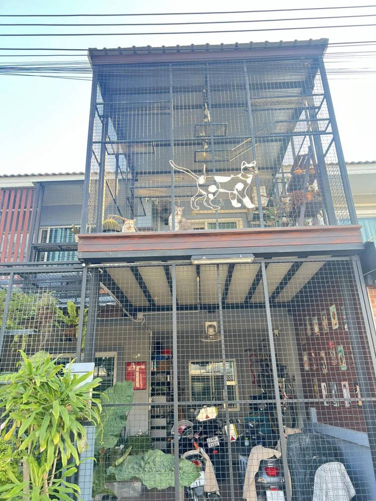 Pemilik Kediaman Sanggup Berhabis Ubahsuai Bina Rumah Kucing Khas Di Anjung Rumah