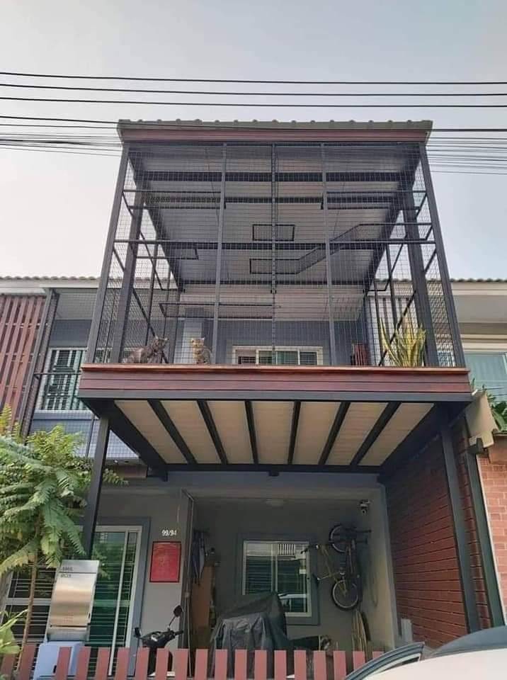 Pemilik Kediaman Sanggup Berhabis Ubahsuai Bina Rumah Kucing Khas Di Anjung Rumah