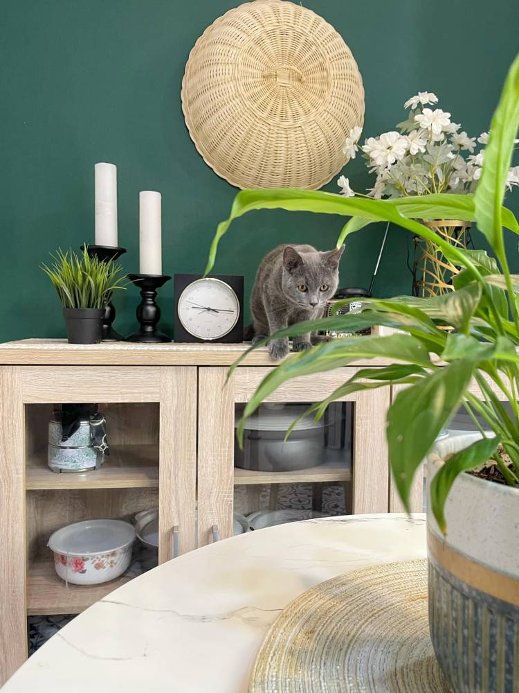 ‘Feature Wall’ Rona Hijau Cantik, Serlahkan Dapur Kecil ‘Vibe Cafe’