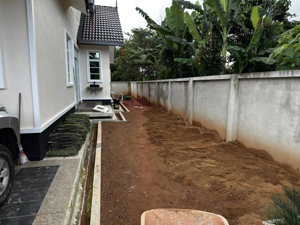 Cara Tanam RUMPUT Sendiri Di Laman Rumah, Panduan Buat ‘Beginner’