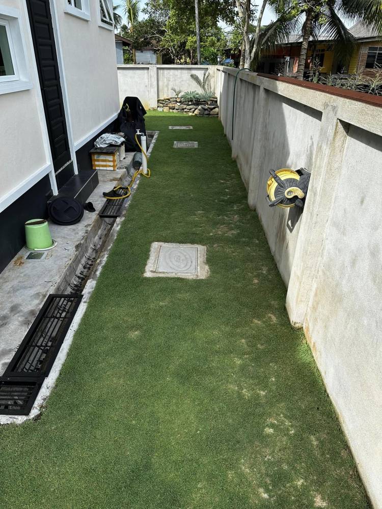 Cara Tanam RUMPUT Sendiri Di Laman Rumah, Panduan Buat ‘Beginner’