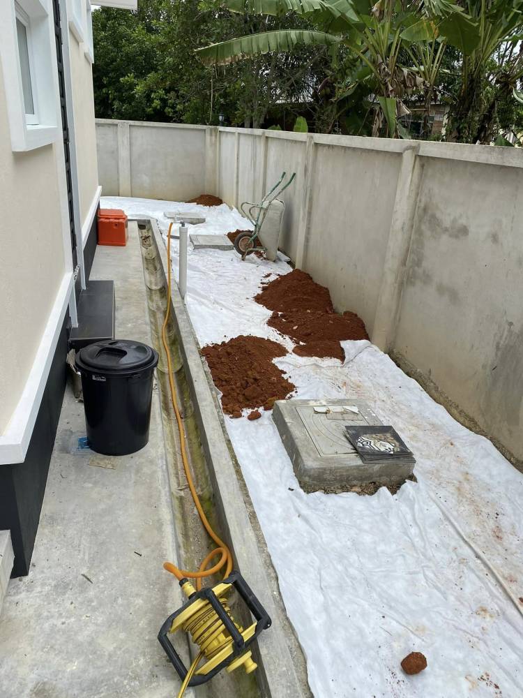 Cara Tanam RUMPUT Sendiri Di Laman Rumah, Panduan Buat ‘Beginner’