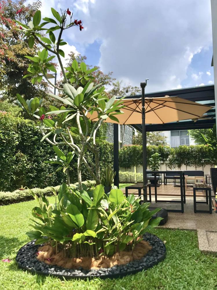 Laman Cantik Berseri Pilih Pokok Senang Dijaga, Tak Perlu Siram Selalu