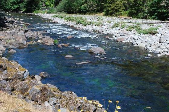 ‘Xanadu 2.0’ Mahligai Mewah Berteknologi Tinggi Milik BILL GATES