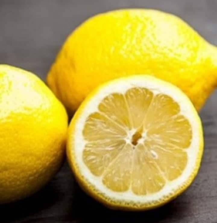 Cara Tanam Pokok LEMON Menjadi Guna Biji Benih, Pilih Bersaiz Besar! 16 Cara Tanam Pokok LEMON Menjadi Guna Biji Benih, Pilih Bersaiz Besar!