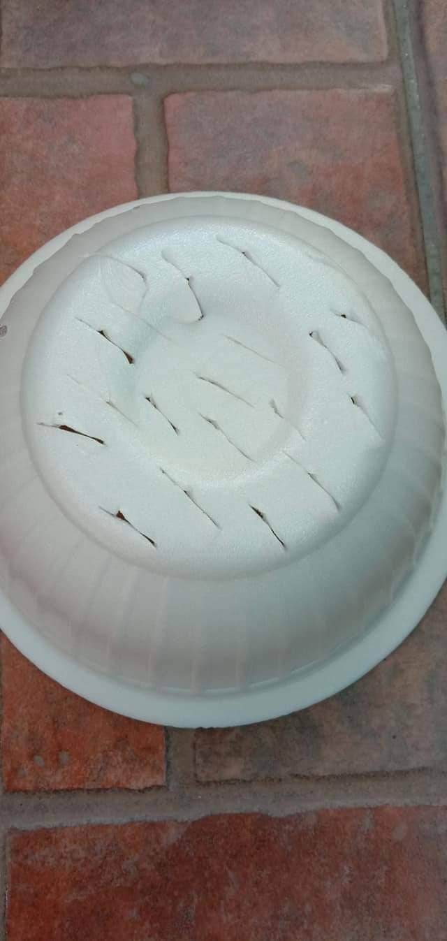 Cara Tanam Pokok LEMON Menjadi Guna Biji Benih, Pilih Bersaiz Besar! 20 Cara Tanam Pokok LEMON Menjadi Guna Biji Benih, Pilih Bersaiz Besar!