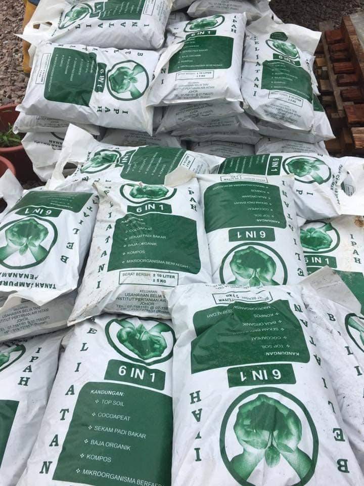 Cara Tanam KACANG TANAH Paling Mudah, 3 Bulan Dapat Hasil Isi Padat & Cantik! 12 Cara Tanam KACANG TANAH Paling Mudah, 3 Bulan Dapat Hasil Isi Padat & Cantik!