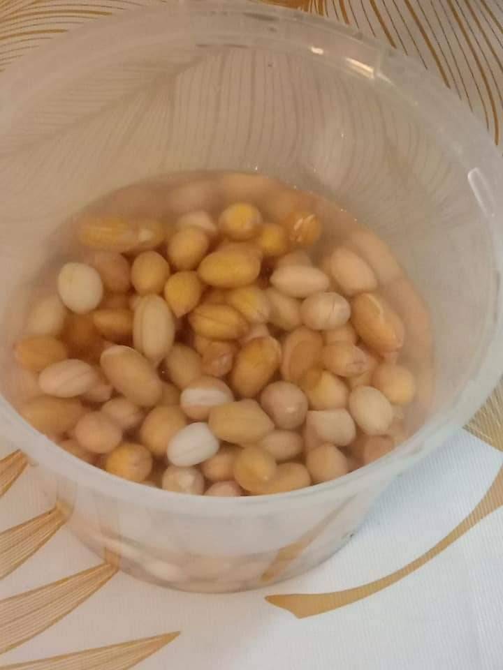 Cara Tanam KACANG TANAH Paling Mudah, 3 Bulan Dapat Hasil Isi Padat & Cantik! 14 Cara Tanam KACANG TANAH Paling Mudah, 3 Bulan Dapat Hasil Isi Padat & Cantik!