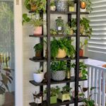 IMG_20240722_091115_832