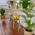 IMG_20240722_091201_111