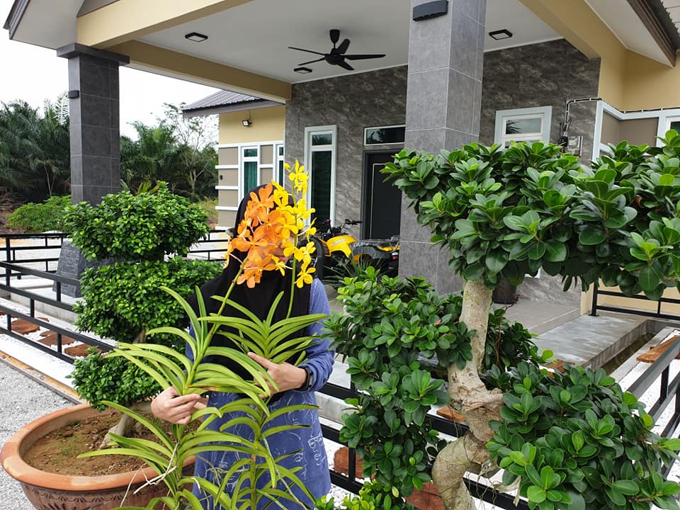 Kreatif Landskap Tepi Rumah ‘Simple’ Guna Batang Pokok Cempedak & Batu Putih