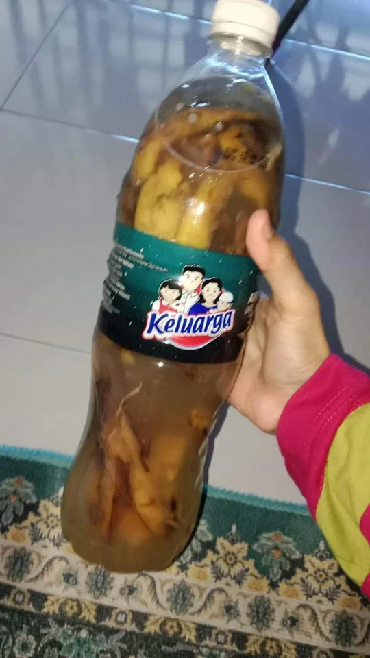 Rahsia POKOK CILI Berbunga & Berbuah Lebat, Letak Baja Air Rendaman KULIT PISANG