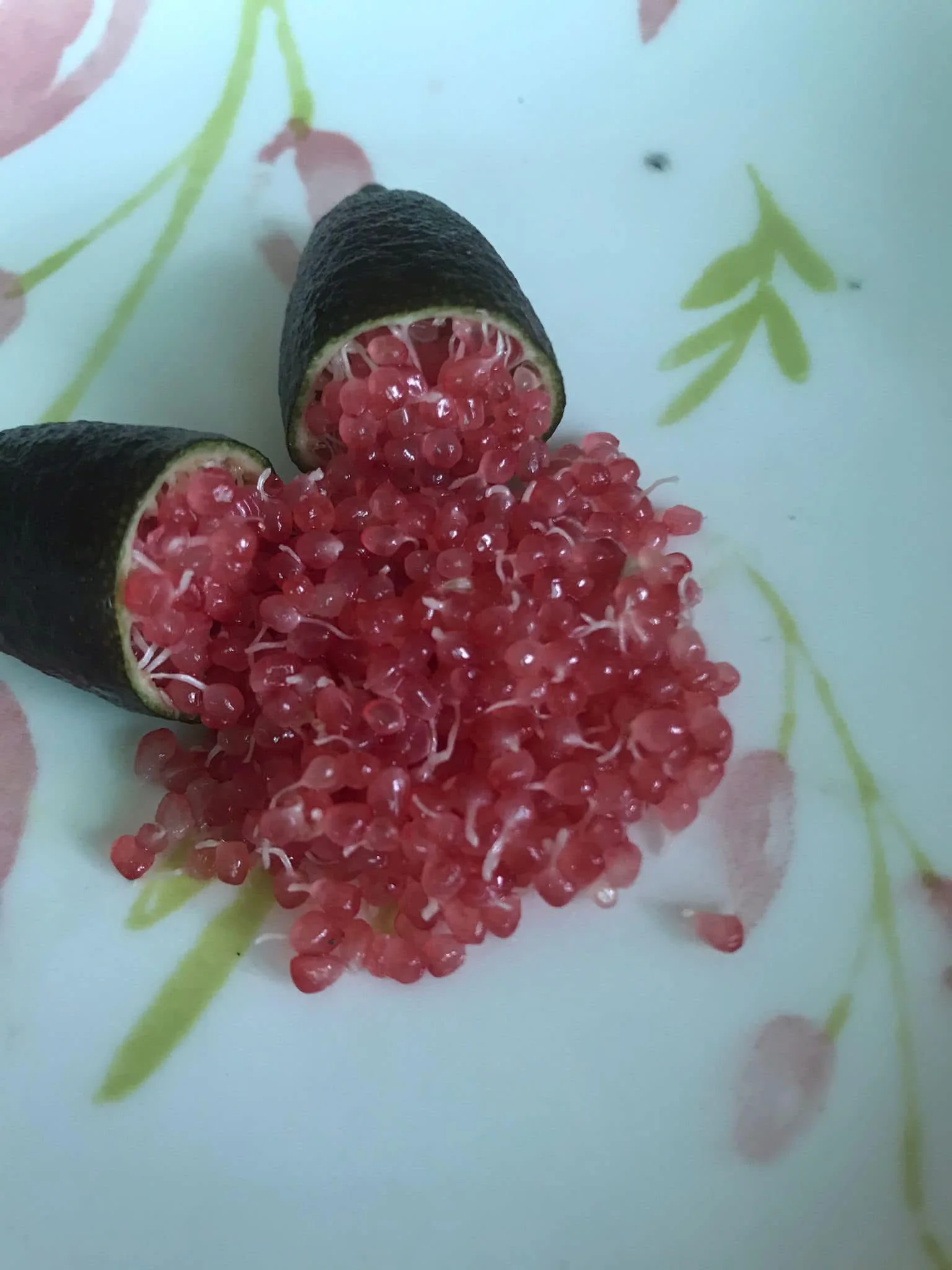 Limau Jari, Limau Paling Mahal Di Dunia, 1 Kg Boleh Cecah Lebih RM1k