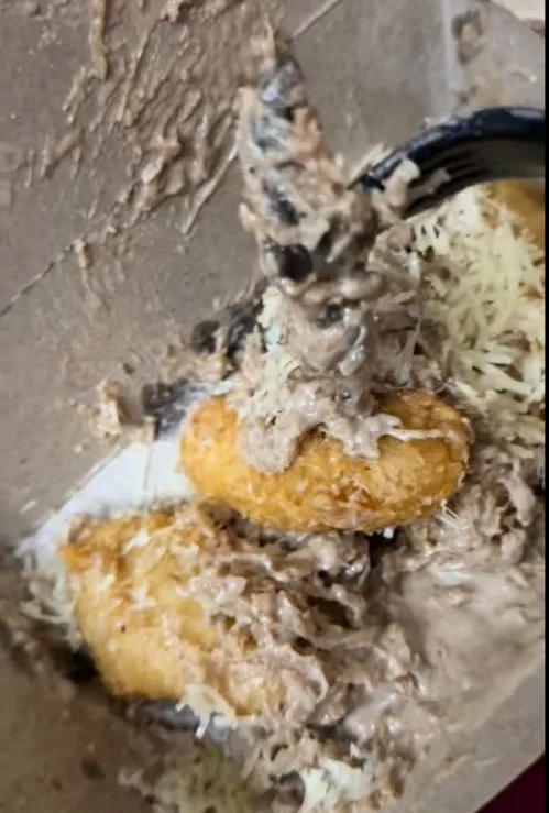 Wanita Jumpa Bangkai Cicak Dalam Pisang Goreng Tiramisu, Ini Tip ‘Halau’ Cicak