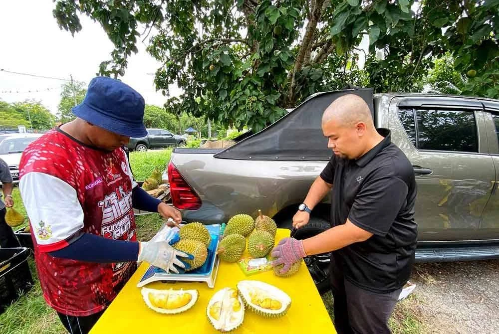 Ekonomi Tidak Memberangsangkan, Musang King RM20 Sekilogram Pun Kurang Sambutan