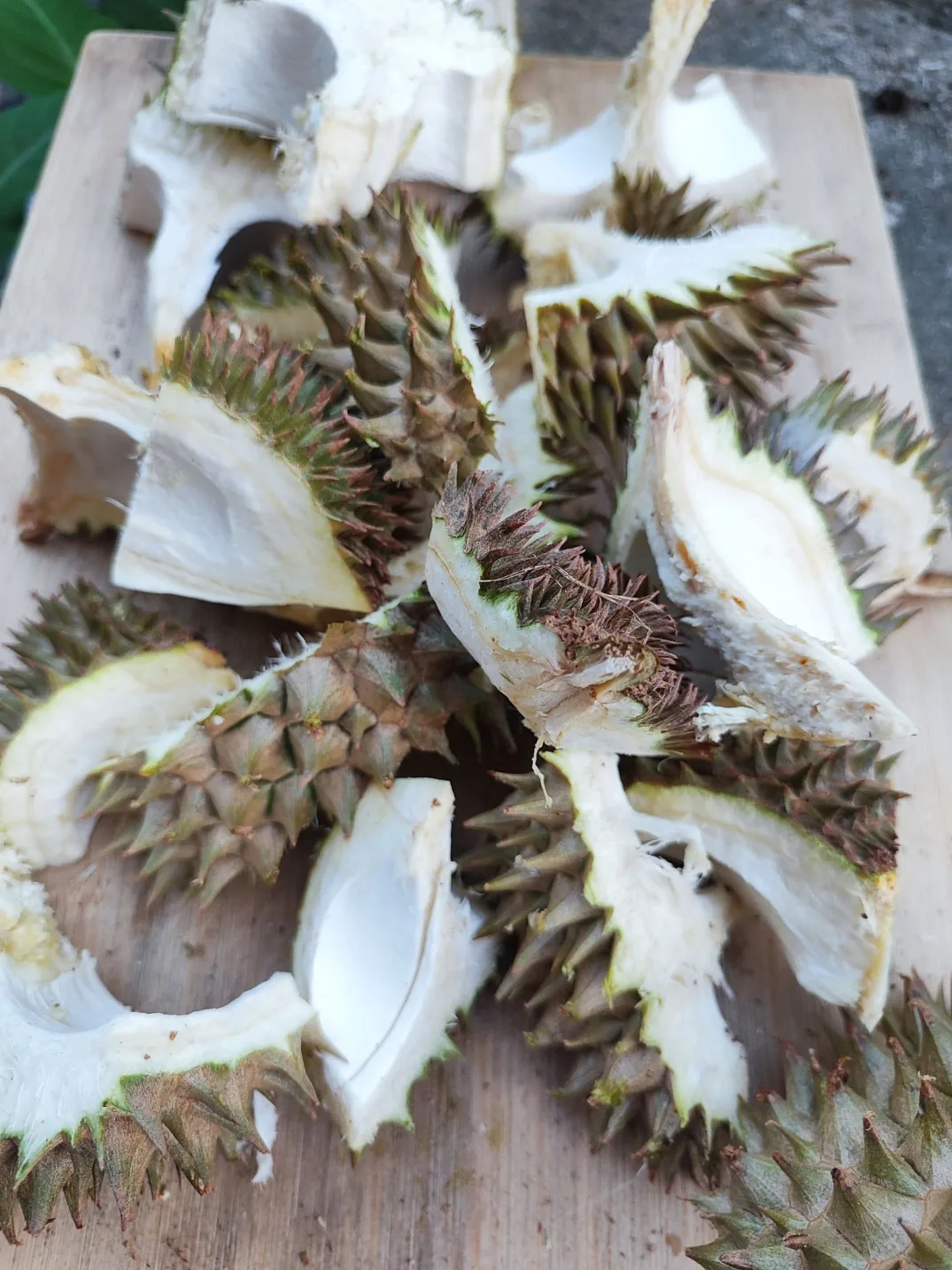 Kulit Durian Jangan Dibuang, Boleh Buat Baja Cecair Untuk Siraman