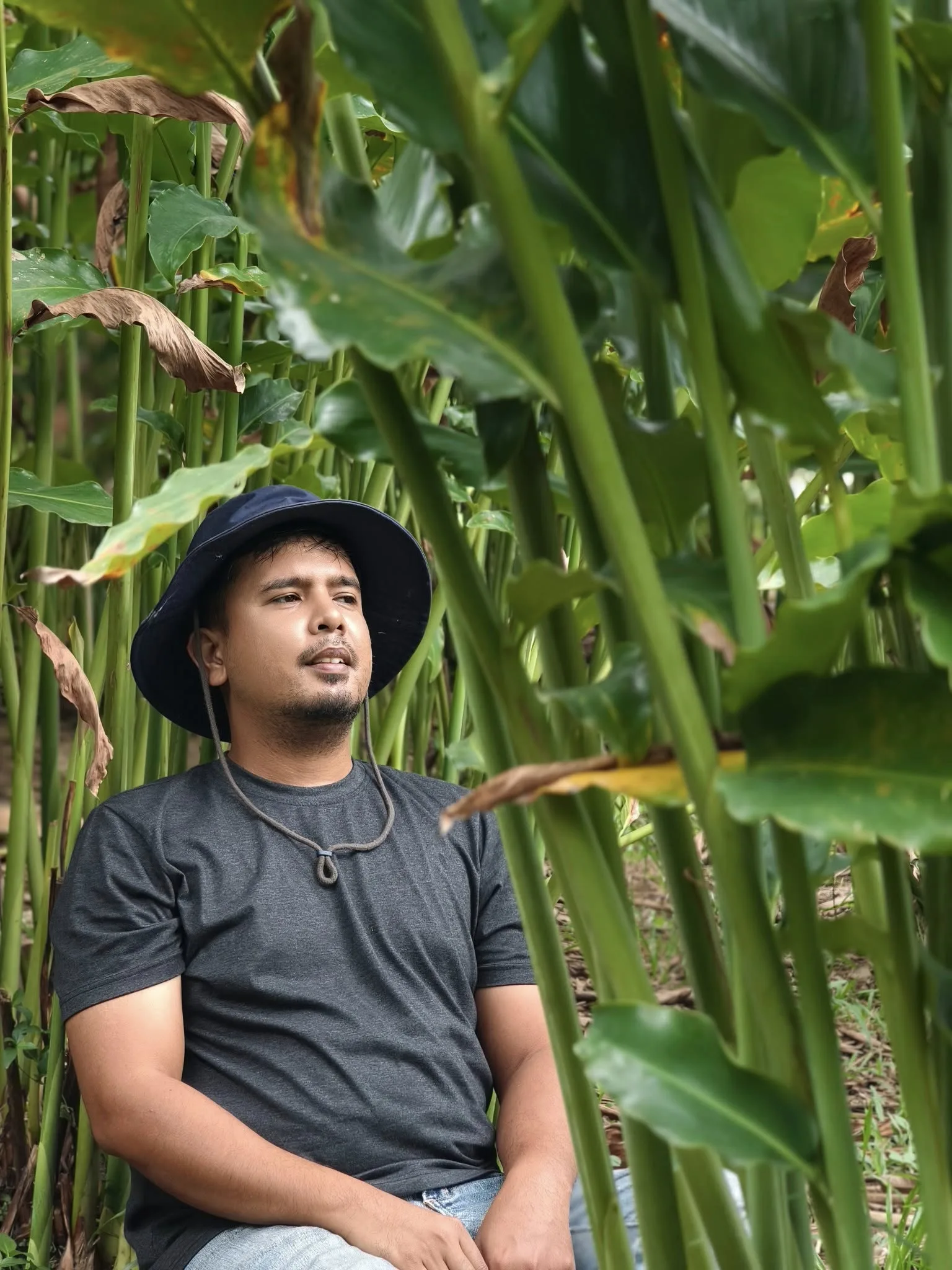 Ramai Salah Tanam Kantan, Sebab Itu Pokok Tak Berbunga Langsung