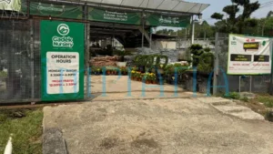 Pokok Cantik, Harga Logik, Gadek Nursery Lokasi Wajib Singgah