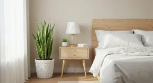 DRACAENA TRIFASCIATA Penapis Udara Semulajadi, Senang Dijaga & Sesuai Dekorasi Minimalis