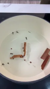 Trik Hilangkan Bau Masakan & Segarkan Aroma Kediaman Guna Bahan Semulajadi!