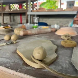 NATASHA HUDSON Pilih Hidup Sederhana Di Langkawi, Tanam Sendiri, Bela Ayam & Itik