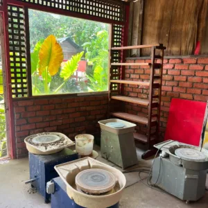 NATASHA HUDSON Pilih Hidup Sederhana Di Langkawi, Tanam Sendiri, Bela Ayam & Itik