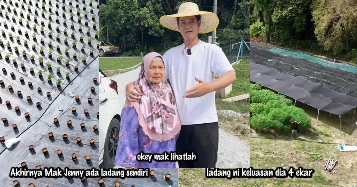 Nubhan Buka Ladang Empat Ekar, Kejutan Istimewa Buat Ibunya, Mak Jenny