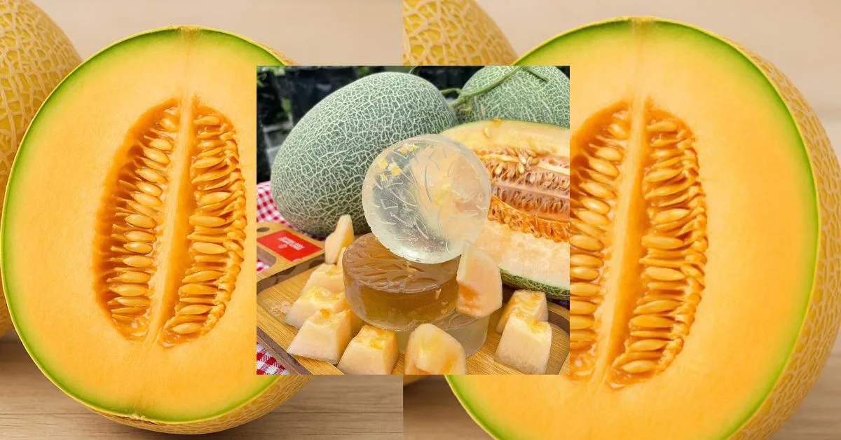 Inovasi Sabun Melon Homemade, Segar, Wangi & Sarat Khasiat Untuk Kulit
