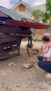 NATASHA HUDSON Pilih Hidup Sederhana Di Langkawi, Tanam Sendiri, Bela Ayam & Itik