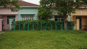 Rumput Liar & Pokok Menjalar: Bila Hijau Jadi Punca Jiran Bermasam Muka