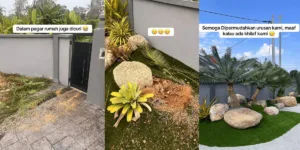 Pokok Hiasan Landskap PAKU AJI Hilang Dicuri, Pengusaha Homestay Kerugian Lebih RM10,000!