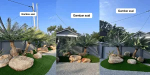 Pokok Hiasan Landskap PAKU AJI Hilang Dicuri, Pengusaha Homestay Kerugian Lebih RM10,000!