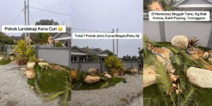Pokok Hiasan Landskap PAKU AJI Hilang Dicuri, Pengusaha Homestay Kerugian Lebih RM10,000!