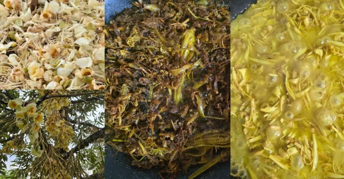 Untitled design (43)