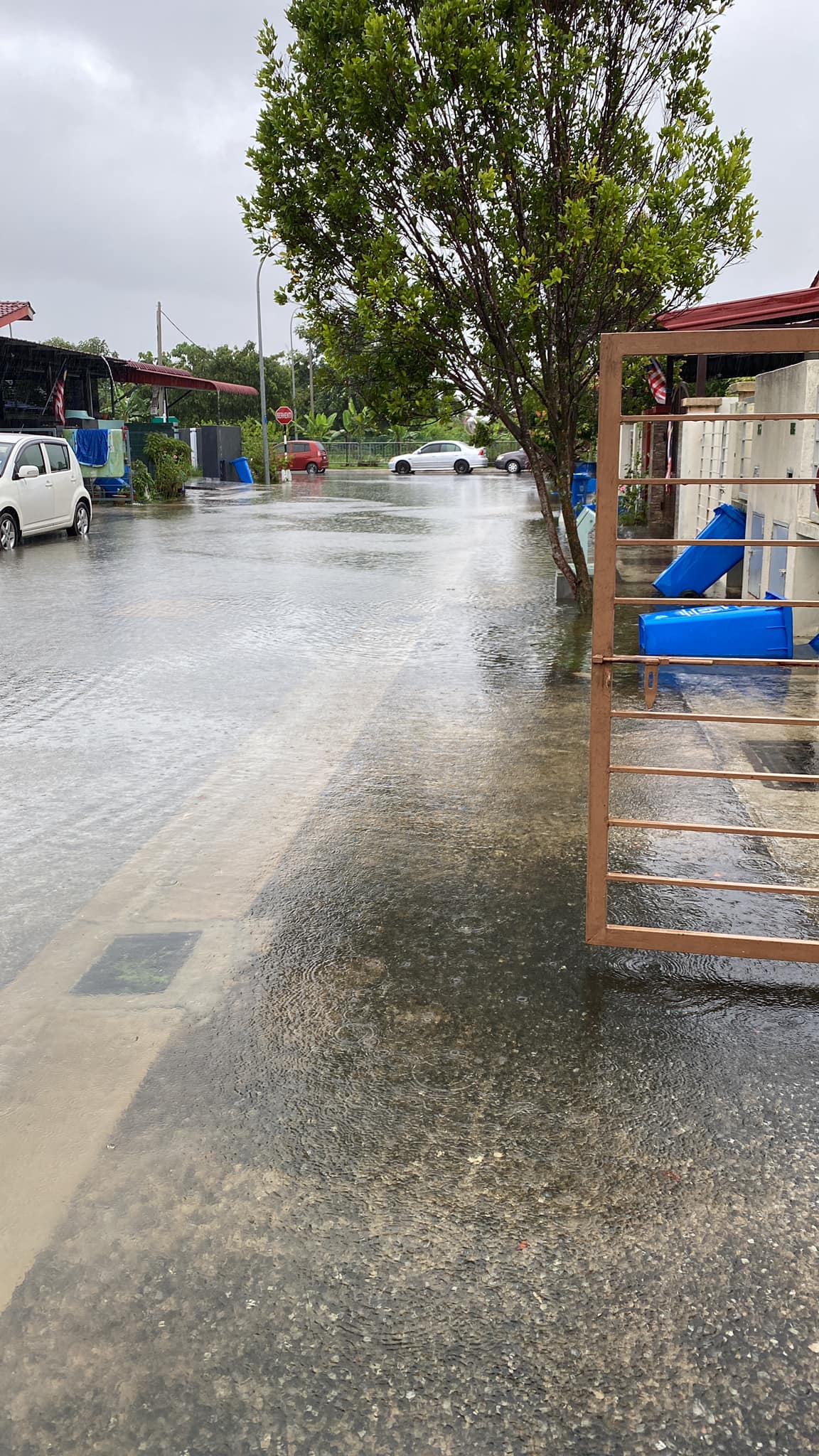 Tanda-Tanda Banjir Besar Bakal Melanda Kawasan Rumah, Jangan Abaikan Petanda Ini!