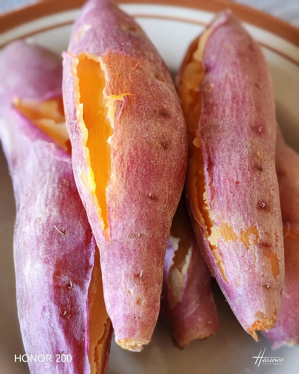 Tanam UBI MANIS Dalam Karung Guna Pasir Sungai, 3 Bulan Tuai Hasil Isi Besar 51 Tanam UBI MANIS Dalam Karung Guna Pasir Sungai, 3 Bulan Tuai Hasil Isi Besar